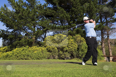 To use this stock image in your creative project, please select the size you need over to the right and click the "Add to Cart" button.
Your downloaded image will come with the Cutcaster watermark removed so don’t worry about the watermark you see on this page. Golf #42 stock photo, Man playing golf. by Sean Nel