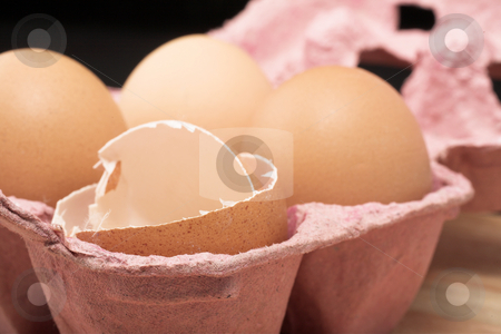 To use this stock image in your creative project, please select the size you need over to the right and click the "Add to Cart" button.
Your downloaded image will come with the Cutcaster watermark removed so don’t worry about the watermark you see on this page. Eggs #3 stock photo, Eggs in an eggholder on a wooden cutting board by Sean Nel