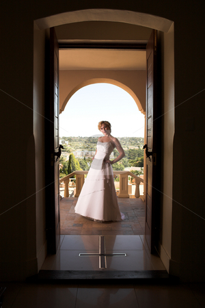 To use this stock image in your creative project, please select the size you need over to the right and click the "Add to Cart" button.
Your downloaded image will come with the Cutcaster watermark removed so don’t worry about the watermark you see on this page. Young blonde bride wearing wedding gown stock photo, Young blonde bride with champagne colored wedding gown and red lips. She is standing outside the doorway on a porch by Sean Nel