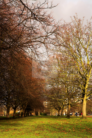 To use this stock image in your creative project, please select the size you need over to the right and click the "Add to Cart" button.
Your downloaded image will come with the Cutcaster watermark removed so don’t worry about the watermark you see on this page. London#4 stock photo, Park in London during the winter. by Sean Nel