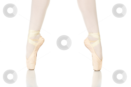 To use this stock image in your creative project, please select the size you need over to the right and click the "Add to Cart" button.
Your downloaded image will come with the Cutcaster watermark removed so don’t worry about the watermark you see on this page. Ballet Feet Positions stock photo, Young female ballet dancer showing various classic ballet feet positions on Pointe against a white background - 2nd position en pointe. NOT ISOLATED by Sean Nel