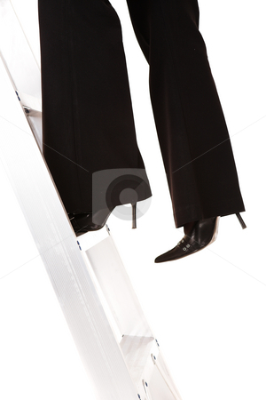 To use this stock image in your creative project, please select the size you need over to the right and click the "Add to Cart" button.
Your downloaded image will come with the Cutcaster watermark removed so don’t worry about the watermark you see on this page. Ladder to success stock photo, Businesswoman in stilettos climbing the ladder to success by Sean Nel