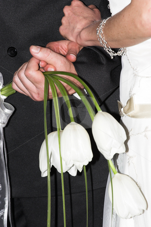 To use this stock image in your creative project, please select the size you need over to the right and click the "Add to Cart" button.
Your downloaded image will come with the Cutcaster watermark removed so don’t worry about the watermark you see on this page. Wedding bouquet #11 stock photo, Bride and groom holding flowers by Sean Nel