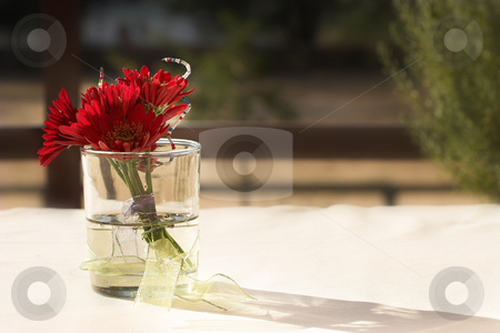 To use this stock image in your creative project, please select the size you need over to the right and click the "Add to Cart" button.
Your downloaded image will come with the Cutcaster watermark removed so don’t worry about the watermark you see on this page. Flowers #2 stock photo, Red Flowers on a table by Sean Nel