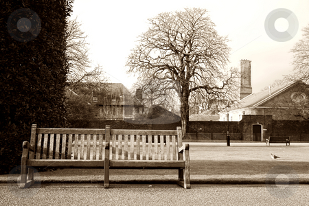 To use this stock image in your creative project, please select the size you need over to the right and click the "Add to Cart" button.
Your downloaded image will come with the Cutcaster watermark removed so don’t worry about the watermark you see on this page. London#8 stock photo, Bench in a park at wintertime. Sepia tone. by Sean Nel