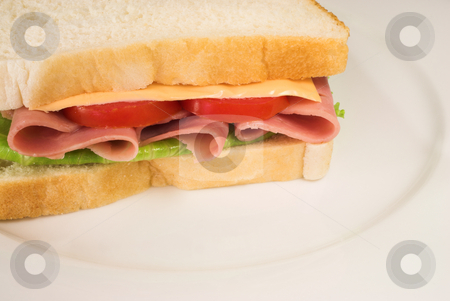 To use this stock image in your creative project, please select the size you need over to the right and click the "Add to Cart" button.
Your downloaded image will come with the Cutcaster watermark removed so don’t worry about the watermark you see on this page. Food #33 stock photo, A salami, cheese, tomato and lettuce sandwich on a white plate. by Sean Nel