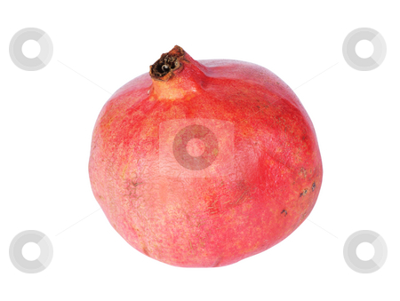 To use this stock image in your creative project, please select the size you need over to the right and click the "Add to Cart" button.
Your downloaded image will come with the Cutcaster watermark removed so don’t worry about the watermark you see on this page. Pomegranate stock photo, Red ripe pomegranate isolated on white background by Salauyou Yury