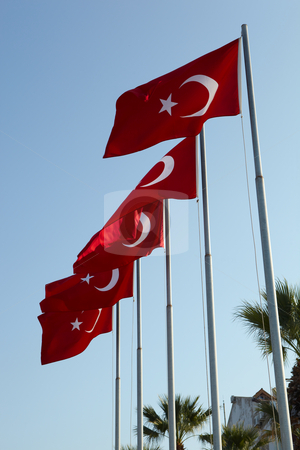 To use this stock image in your creative project, please select the size you need over to the right and click the "Add to Cart" button.
Your downloaded image will come with the Cutcaster watermark removed so don’t worry about the watermark you see on this page. Red Turkish flags stock photo, Red turkish flags blowing in the wind on a clear blue sky day by Sean Nel
