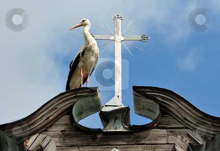 To use this stock image in your creative project, please select the size you need over to the right and click the "Add to Cart" button.
Your downloaded image will come with the Cutcaster watermark removed so don’t worry about the watermark you see on this page. Stork and a cross stock photo, The stork costs near to a cross on a roof of a rural church by Vladimir Blinov