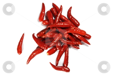To use this stock image in your creative project, please select the size you need over to the right and click the "Add to Cart" button.
Your downloaded image will come with the Cutcaster watermark removed so don’t worry about the watermark you see on this page. Spicy red chilipper stock photo, Heap of spicy red chili pepper isolated on white by Oleg Blazhyievskyi