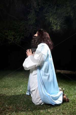 To use this stock image in your creative project, please select the size you need over to the right and click the "Add to Cart" button.
Your downloaded image will come with the Cutcaster watermark removed so don’t worry about the watermark you see on this page. Prayer in times of trouble stock photo, Side view of Jesus in Garden of Gethsemane on knees praying to God. by Leah-Anne Thompson