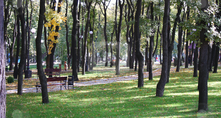 To use this stock image in your creative project, please select the size you need over to the right and click the "Add to Cart" button.
Your downloaded image will come with the Cutcaster watermark removed so don’t worry about the watermark you see on this page. City park stock photo, Autumn city park a silent sunny day by Valerij Kotulskij