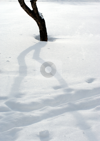 To use this stock image in your creative project, please select the size you need over to the right and click the "Add to Cart" button.
Your downloaded image will come with the Cutcaster watermark removed so don’t worry about the watermark you see on this page. Snow and trees stock photo, The tops of the plants sticking out of the snow. by Vladimir Blinov