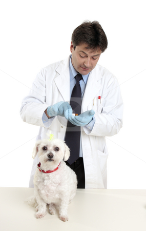 To use this stock image in your creative project, please select the size you need over to the right and click the "Add to Cart" button.
Your downloaded image will come with the Cutcaster watermark removed so don’t worry about the watermark you see on this page. Vet with prescription stock photo, Vet with prescription pills medicine. by Leah-Anne Thompson