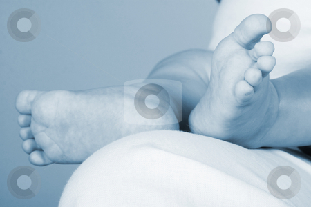 To use this stock image in your creative project, please select the size you need over to the right and click the "Add to Cart" button.
Your downloaded image will come with the Cutcaster watermark removed so don’t worry about the watermark you see on this page. Baby Feet stock photo, Feet of a very young baby, blue filter effect by Carla Booysen