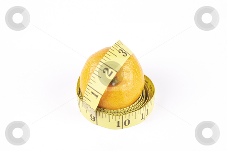 To use this stock image in your creative project, please select the size you need over to the right and click the "Add to Cart" button.
Your downloaded image will come with the Cutcaster watermark removed so don’t worry about the watermark you see on this page. Satsuma and Tape Measure stock photo, Small single satsuma with tape measure wrapped around on a reflective white background by Keith Wilson