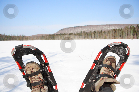 To use this stock image in your creative project, please select the size you need over to the right and click the "Add to Cart" button.
Your downloaded image will come with the Cutcaster watermark removed so don’t worry about the watermark you see on this page. Snowshoes stock photo, Snowshoes from a winter hike by a frozen lake in Quebec, Canada. by Maridav
