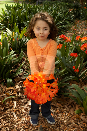 To use this stock image in your creative project, please select the size you need over to the right and click the "Add to Cart" button.
Your downloaded image will come with the Cutcaster watermark removed so don’t worry about the watermark you see on this page. Girll with a bunch of clivia from the garden stock photo, Little girl with a bunch of clivia miniata (bush lilies) from the garden by Leah-Anne Thompson