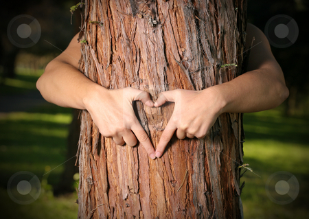 To use this stock image in your creative project, please select the size you need over to the right and click the "Add to Cart" button.
Your downloaded image will come with the Cutcaster watermark removed so don’t worry about the watermark you see on this page. Tree Lover stock photo, A person who loves nature, saves nature or empowers people to grow and care for urban and community trees and forests. by Leah-Anne Thompson