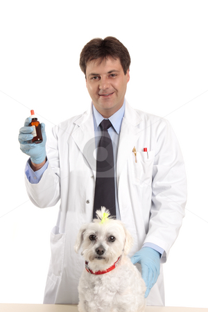 To use this stock image in your creative project, please select the size you need over to the right and click the "Add to Cart" button.
Your downloaded image will come with the Cutcaster watermark removed so don’t worry about the watermark you see on this page. Veterinarian with medicine stock photo, Male vet showing some medicine or an ointment. by Leah-Anne Thompson
