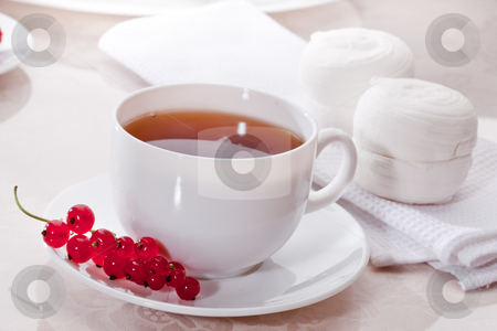 To use this stock image in your creative project, please select the size you need over to the right and click the "Add to Cart" button.
Your downloaded image will come with the Cutcaster watermark removed so don’t worry about the watermark you see on this page. Cup of tea stock photo, Drink series: cup of tea with sweets and currants by Gennady Kravetsky