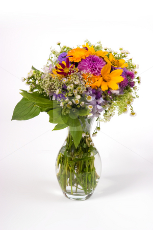 To use this stock image in your creative project, please select the size you need over to the right and click the "Add to Cart" button.
Your downloaded image will come with the Cutcaster watermark removed so don’t worry about the watermark you see on this page. Bouquet stock photo, Bunch of various flowers on the white background by Gennady Kravetsky