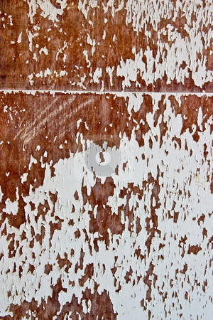 To use this stock image in your creative project, please select the size you need over to the right and click the "Add to Cart" button.
Your downloaded image will come with the Cutcaster watermark removed so don’t worry about the watermark you see on this page. Veneer stock photo, Texture series: old styled white painted veneer by Gennady Kravetsky