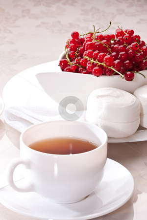 To use this stock image in your creative project, please select the size you need over to the right and click the "Add to Cart" button.
Your downloaded image will come with the Cutcaster watermark removed so don’t worry about the watermark you see on this page. Marsh-mallow stock photo, Food series: white marsh-mallow with red currant with tea by Gennady Kravetsky