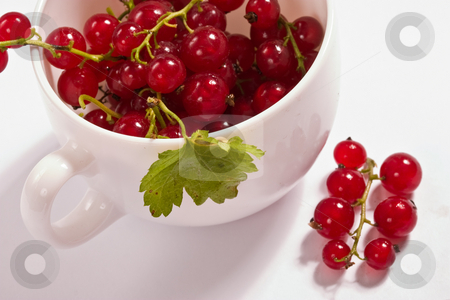To use this stock image in your creative project, please select the size you need over to the right and click the "Add to Cart" button.
Your downloaded image will come with the Cutcaster watermark removed so don’t worry about the watermark you see on this page. Red currant stock photo, Food series: tasty ripe and juicy red currant by Gennady Kravetsky