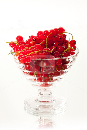 To use this stock image in your creative project, please select the size you need over to the right and click the "Add to Cart" button.
Your downloaded image will come with the Cutcaster watermark removed so don’t worry about the watermark you see on this page. Red currant stock photo, Food series: full glassy bowl of red currant by Gennady Kravetsky