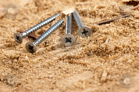 To use this stock image in your creative project, please select the size you need over to the right and click the "Add to Cart" button.
Your downloaded image will come with the Cutcaster watermark removed so don’t worry about the watermark you see on this page. Nail stock photo, Tools series: long nails on sawdust table by Gennady Kravetsky