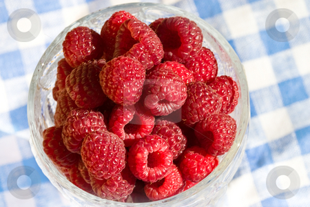 To use this stock image in your creative project, please select the size you need over to the right and click the "Add to Cart" button.
Your downloaded image will come with the Cutcaster watermark removed so don’t worry about the watermark you see on this page. Raspberry stock photo, Food series: fresh raspberry on the glassy bowl by Gennady Kravetsky
