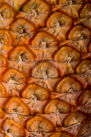 To use this stock image in your creative project, please select the size you need over to the right and click the "Add to Cart" button.
Your downloaded image will come with the Cutcaster watermark removed so don’t worry about the watermark you see on this page. Pineapple stock photo, Background series: macro picture of Pineapple fruit by Gennady Kravetsky