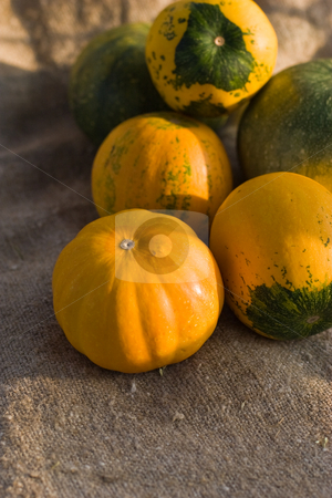 To use this stock image in your creative project, please select the size you need over to the right and click the "Add to Cart" button.
Your downloaded image will come with the Cutcaster watermark removed so don’t worry about the watermark you see on this page. Pumpkin stock photo, Vegetable series: ripe pumpkin on the sackcloth by Gennady Kravetsky