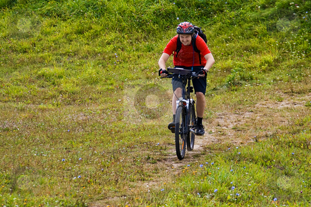 To use this stock image in your creative project, please select the size you need over to the right and click the "Add to Cart" button.
Your downloaded image will come with the Cutcaster watermark removed so don’t worry about the watermark you see on this page. Cyclist riding on the mountain bike stock photo, Cyclist riding on the mountain bike on the grass by Tatsiana Amelina