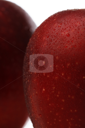 To use this stock image in your creative project, please select the size you need over to the right and click the "Add to Cart" button.
Your downloaded image will come with the Cutcaster watermark removed so don’t worry about the watermark you see on this page. Waterdrops on an apple stock photo, A red apple with waterdrops isolated on white background by Alexander Zschach