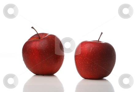 To use this stock image in your creative project, please select the size you need over to the right and click the "Add to Cart" button.
Your downloaded image will come with the Cutcaster watermark removed so don’t worry about the watermark you see on this page. Waterdrops on an apple stock photo, Two red apples with waterdrops isolated on white background by Alexander Zschach