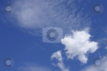 To use this stock image in your creative project, please select the size you need over to the right and click the "Add to Cart" button.
Your downloaded image will come with the Cutcaster watermark removed so don’t worry about the watermark you see on this page. White Puffy Cloud stock photo, White puffy cloud by Leah-Anne Thompson