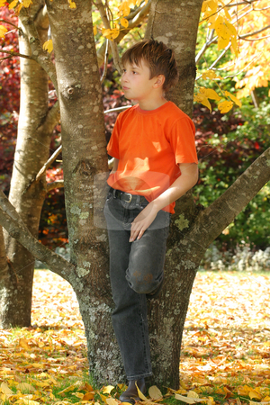 To use this stock image in your creative project, please select the size you need over to the right and click the "Add to Cart" button.
Your downloaded image will come with the Cutcaster watermark removed so don’t worry about the watermark you see on this page. Child among colourful autumn trees and leaves stock photo, A child stands amongst the varying and colourful deciduous trees and leaves in the Autumn season by Leah-Anne Thompson