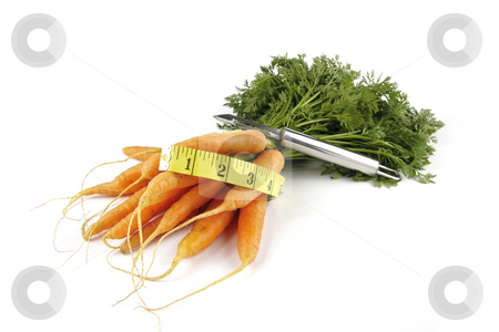 To use this stock image in your creative project, please select the size you need over to the right and click the "Add to Cart" button.
Your downloaded image will come with the Cutcaster watermark removed so don’t worry about the watermark you see on this page. Bunch of Carrots with Peeler and Tape Measure stock photo, Fresh young bunch of carrots with green leafy stems and tape measure and chrome peeler on a reflective white background by Keith Wilson