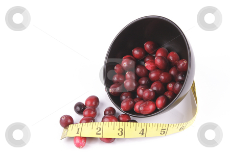 To use this stock image in your creative project, please select the size you need over to the right and click the "Add to Cart" button.
Your downloaded image will come with the Cutcaster watermark removed so don’t worry about the watermark you see on this page. Cranberries spilling out of a Black Bowl with Tape Measure stock photo, Red ripe cranberries spilling out of a small round black bowl on its side with a tape measure on a reflective white background by Keith Wilson