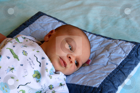 To use this stock image in your creative project, please select the size you need over to the right and click the "Add to Cart" button.
Your downloaded image will come with the Cutcaster watermark removed so don’t worry about the watermark you see on this page. Boy stock photo, Week old baby boy on a blue blanket early in the morning by Vanessa Van Rensburg