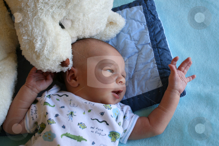 To use this stock image in your creative project, please select the size you need over to the right and click the "Add to Cart" button.
Your downloaded image will come with the Cutcaster watermark removed so don’t worry about the watermark you see on this page. Touch stock photo, Week old baby boy on a blue blanket early in the morning by Vanessa Van Rensburg
