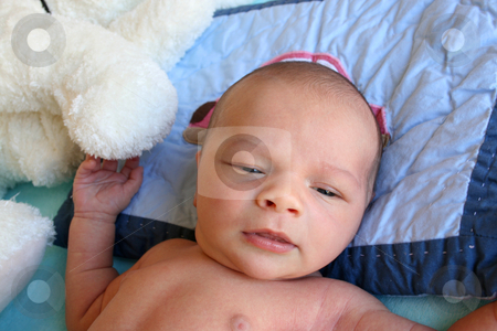 To use this stock image in your creative project, please select the size you need over to the right and click the "Add to Cart" button.
Your downloaded image will come with the Cutcaster watermark removed so don’t worry about the watermark you see on this page. Purity stock photo, Week old baby boy on a blue blanket early in the morning by Vanessa Van Rensburg