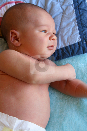 To use this stock image in your creative project, please select the size you need over to the right and click the "Add to Cart" button.
Your downloaded image will come with the Cutcaster watermark removed so don’t worry about the watermark you see on this page. Tiny Body stock photo, Week old baby boy on a blue blanket early in the morning wearing just a Nappy by Vanessa Van Rensburg
