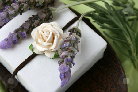 To use this stock image in your creative project, please select the size you need over to the right and click the "Add to Cart" button.
Your downloaded image will come with the Cutcaster watermark removed so don’t worry about the watermark you see on this page. Soap Dish stock photo, Soap Dish with gift soap and fresh lavender by Vanessa Van Rensburg