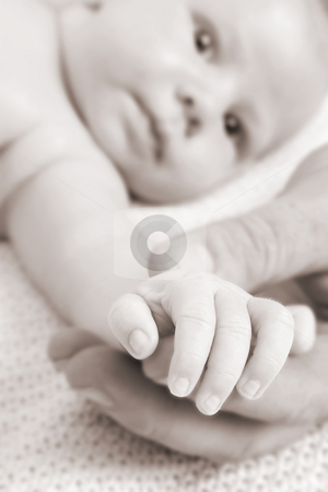 To use this stock image in your creative project, please select the size you need over to the right and click the "Add to Cart" button.
Your downloaded image will come with the Cutcaster watermark removed so don’t worry about the watermark you see on this page. Baby Hand stock photo, Close up of father holding his child's hand. FOCUS on Baby Hand by Vanessa Van Rensburg