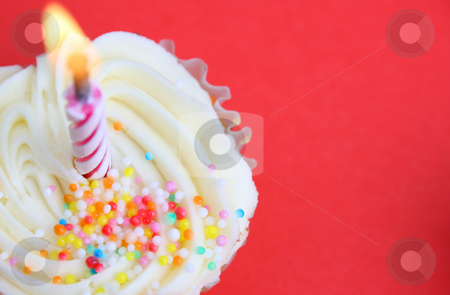 To use this stock image in your creative project, please select the size you need over to the right and click the "Add to Cart" button.
Your downloaded image will come with the Cutcaster watermark removed so don’t worry about the watermark you see on this page. Cup Cakes stock photo, Vanilla Cupcake with sprinkles and one candle by Vanessa Van Rensburg