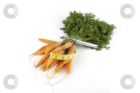 To use this stock image in your creative project, please select the size you need over to the right and click the "Add to Cart" button.
Your downloaded image will come with the Cutcaster watermark removed so don’t worry about the watermark you see on this page. Bunch of Carrots with Peeler and Tape Measure stock photo, Fresh young bunch of carrots with green leafy stems and tape measure and chrome peeler on a reflective white background by Keith Wilson
