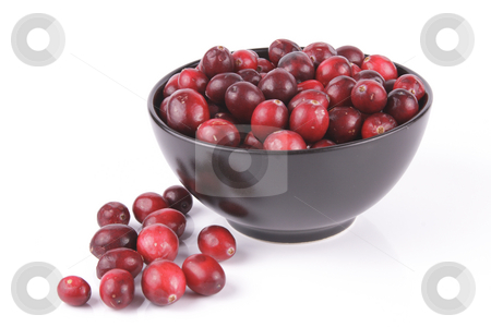 To use this stock image in your creative project, please select the size you need over to the right and click the "Add to Cart" button.
Your downloaded image will come with the Cutcaster watermark removed so don’t worry about the watermark you see on this page. Cranberries in a Black Bowl stock photo, Red ripe cranberries in a small round black bowl with a few scattered on the surface with a reflective white background by Keith Wilson